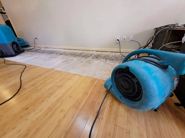 Professional Sewage Cleanup technician working in Cougar, WA
